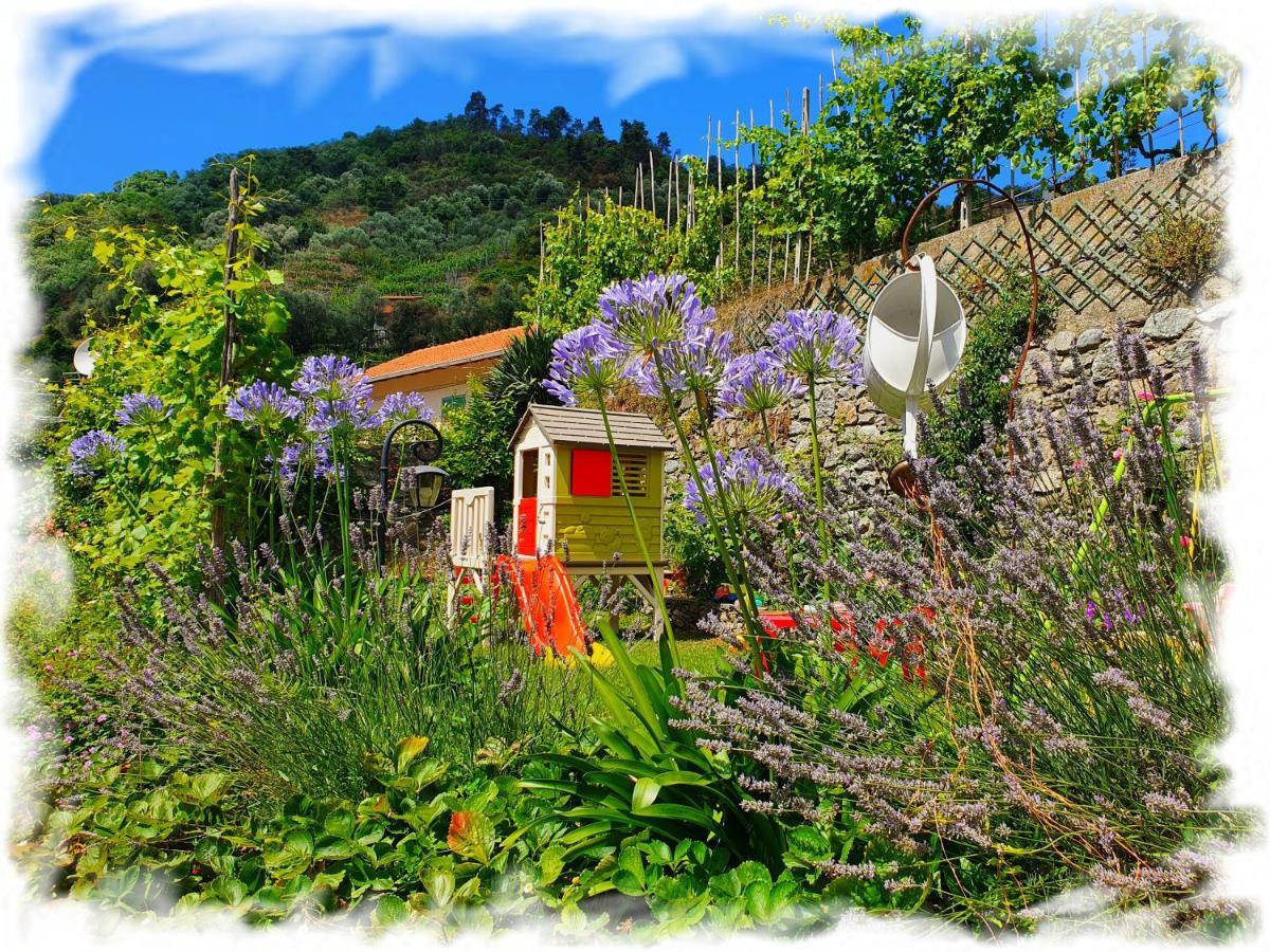 Casa Vacanze Family อัลบีโซลา ซูเพริโอเร ภายนอก รูปภาพ