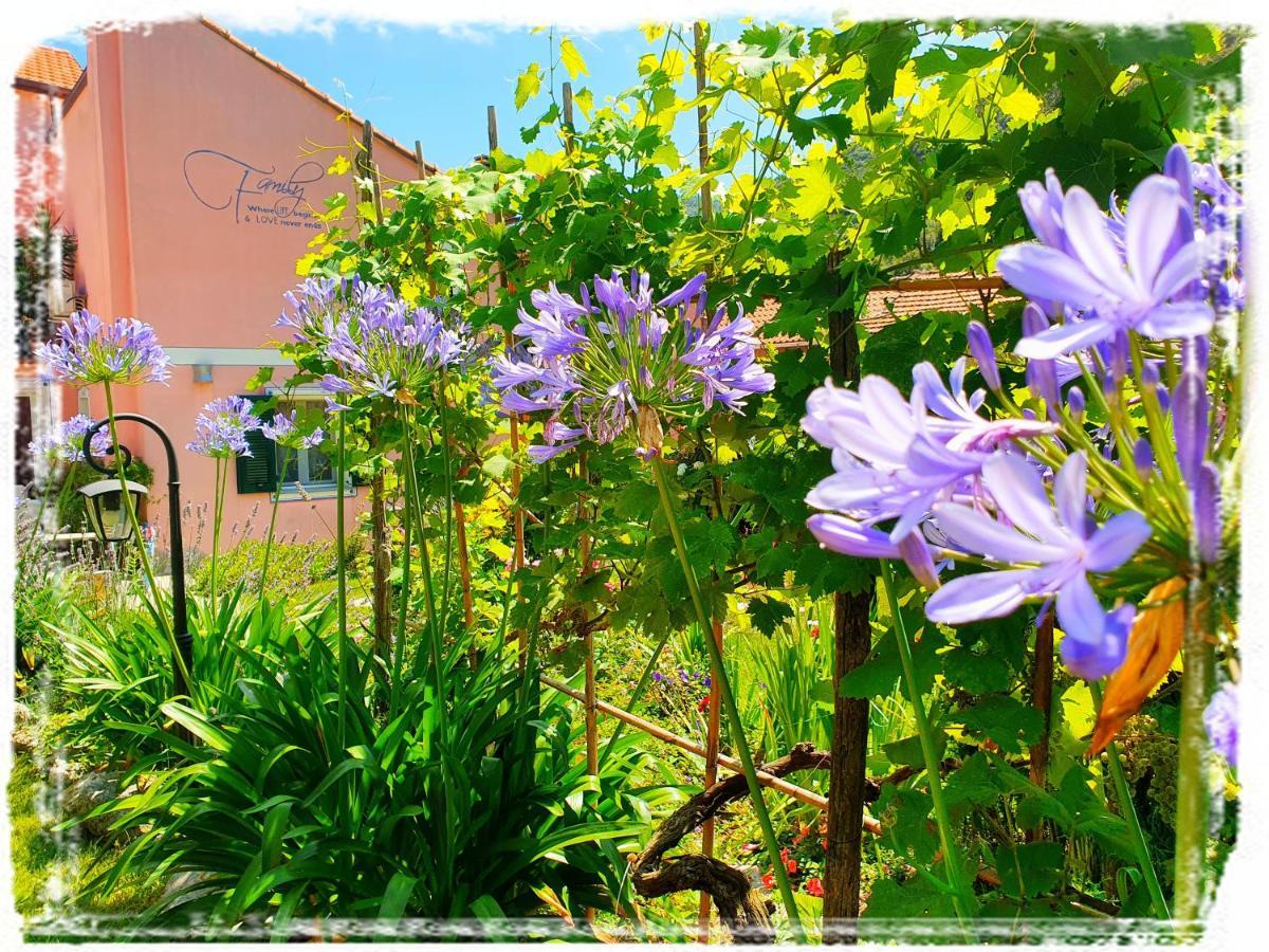Casa Vacanze Family อัลบีโซลา ซูเพริโอเร ภายนอก รูปภาพ